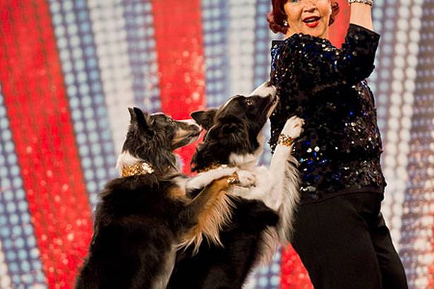 Britain's Got Talent dancing dogs