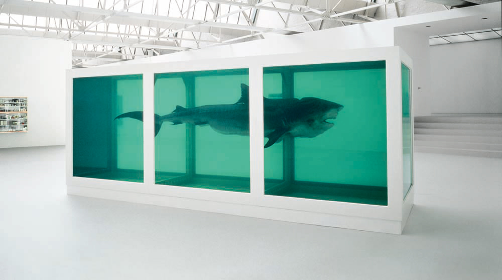 Damien Hirst shark in a tank
