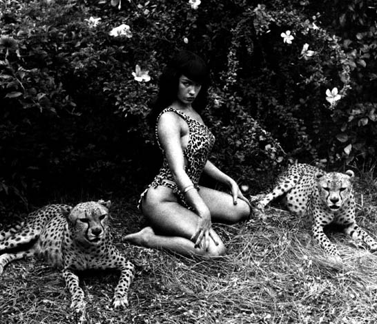 Bettie Page leopard print