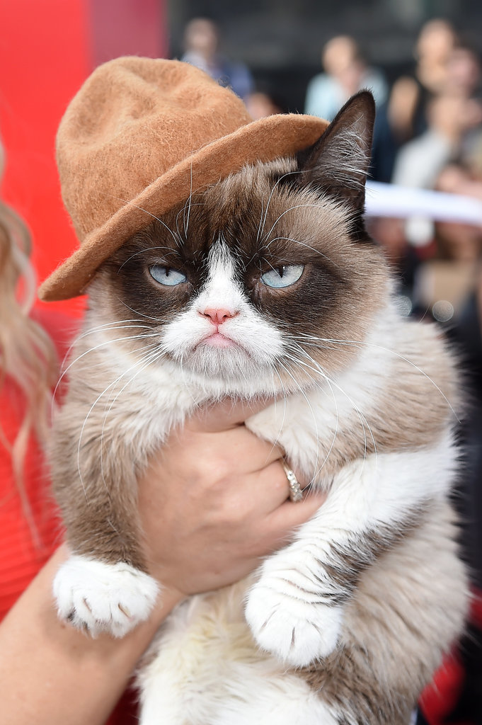 Grumpy-Cat-Pharrell-Hat-MTV-Movie-Awards-2014