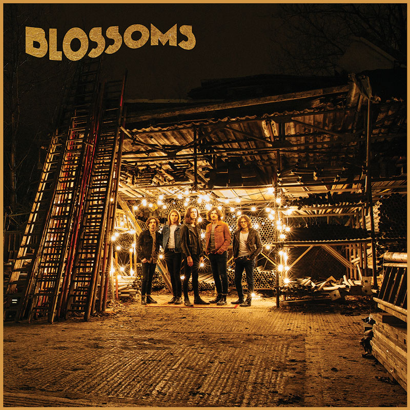 Blossoms album cover